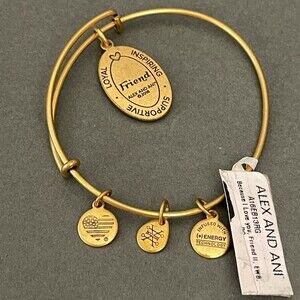Alex and Ani Gold-tone Women's Fashion Charm Bracelet Energy Technology NWT